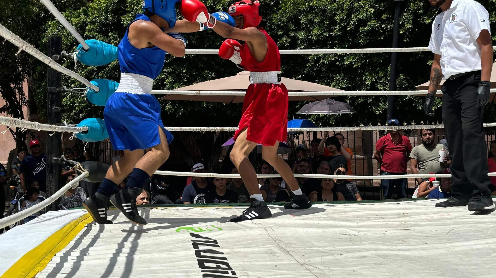 Torneo de Box de los Barrios en El Saucito (2)